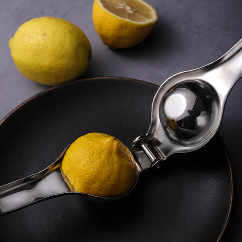 Stainless Steel Lemon Squeezer Hand Manual