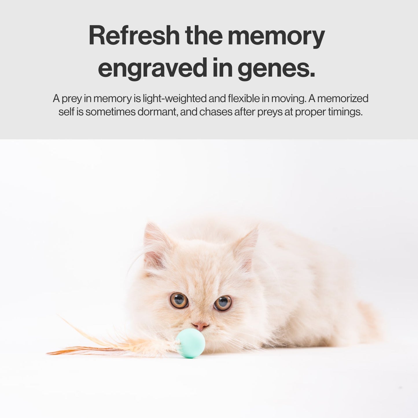 PIDAN Feather Bouncy Cat Toy Balls – 3 Pack