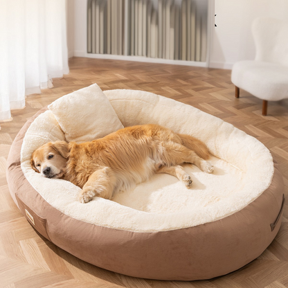 Human Sized Cosy Dog Beds Washable