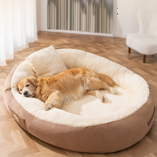 Human Sized Cosy Dog Beds Washable