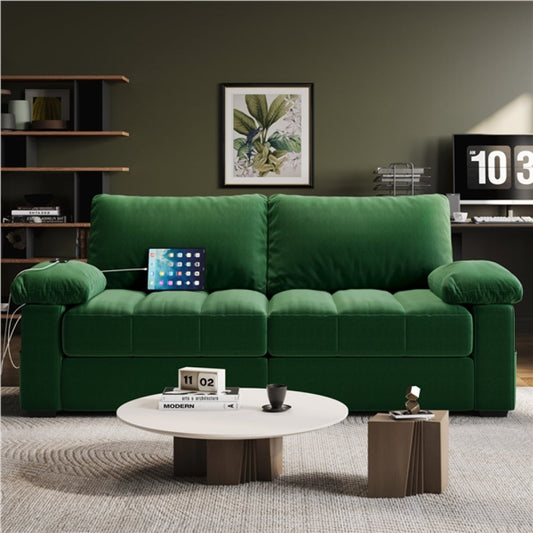 2-Seater Velvet Couch with Pillow Top Arms