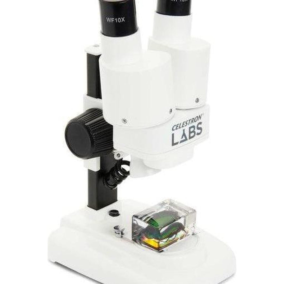 Celestron Labs S20 Stereo Microscope