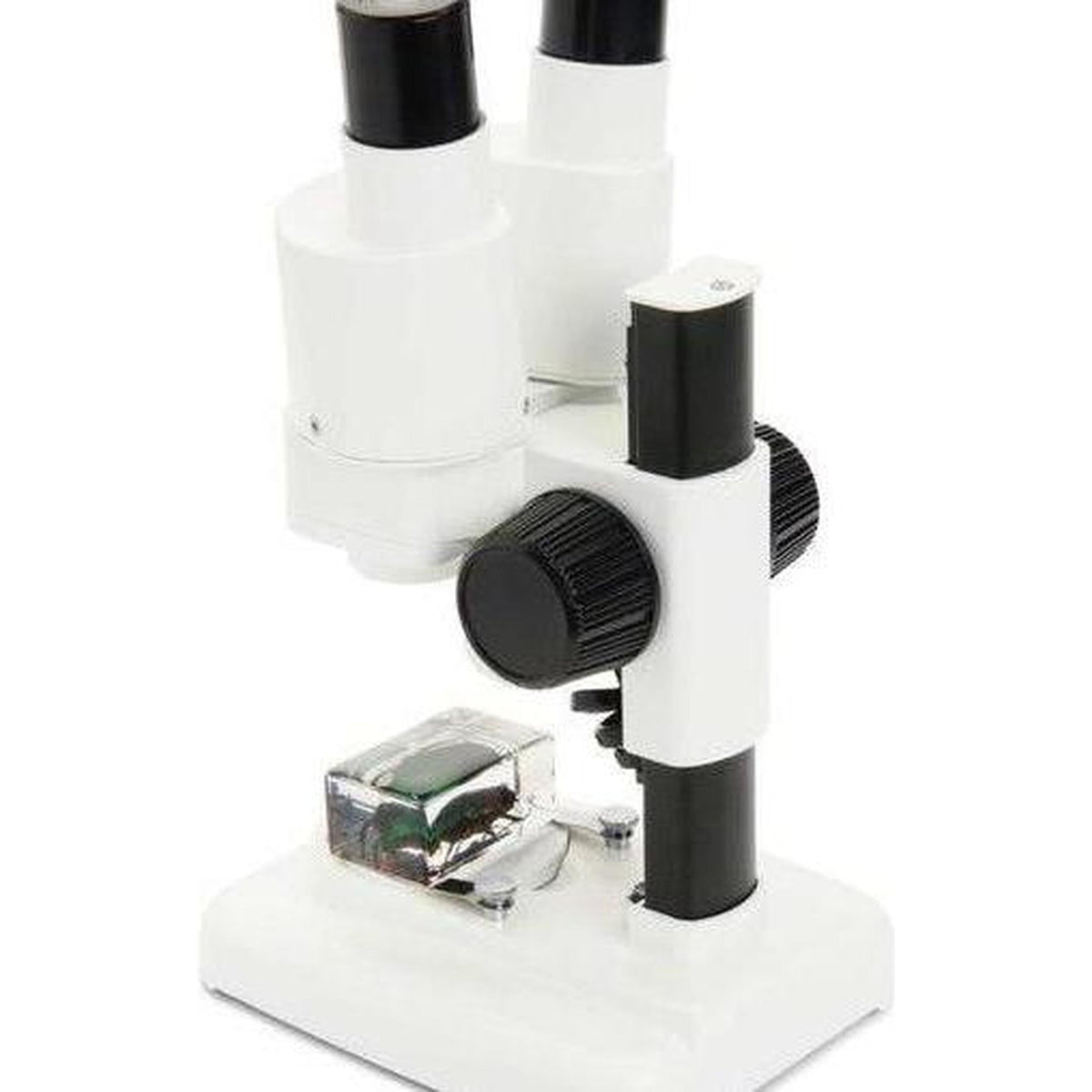 Celestron Labs S20 Stereo Microscope