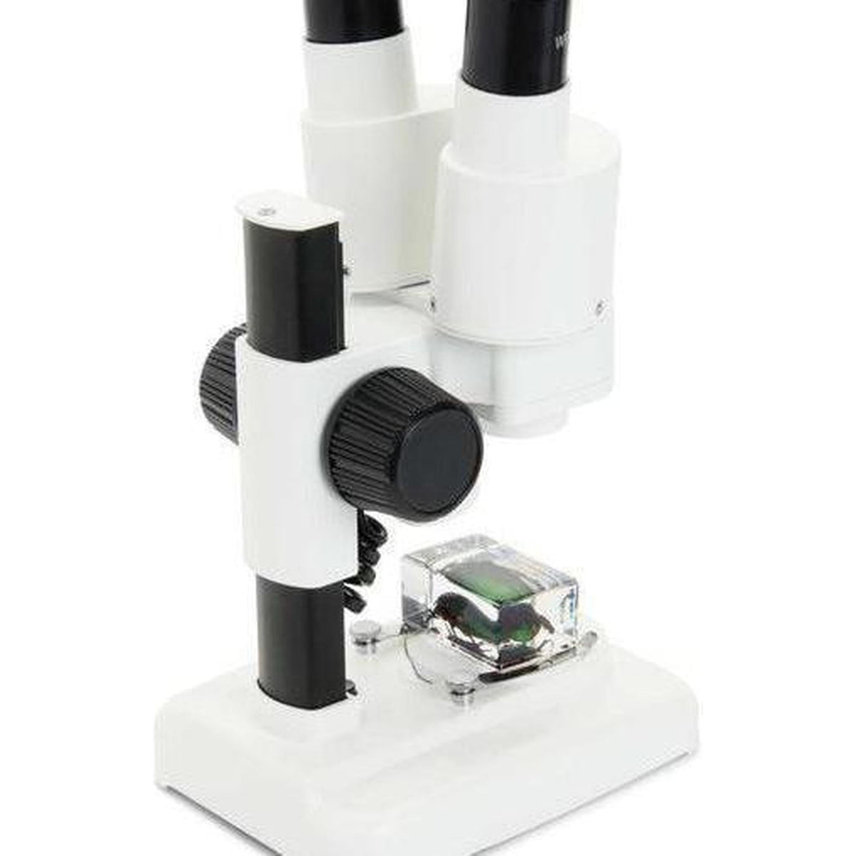 Celestron Labs S20 Stereo Microscope
