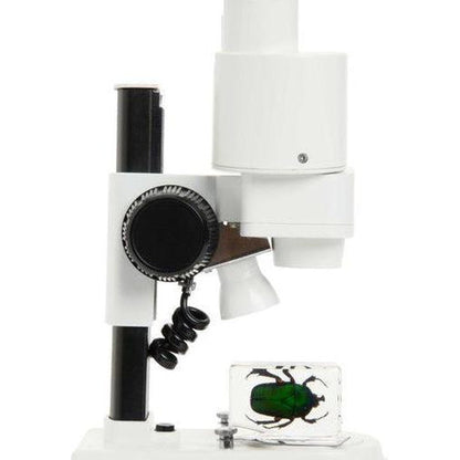 Celestron Labs S20 Stereo Microscope