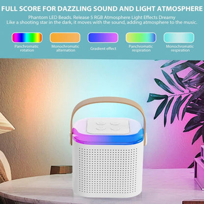 Portable Bluetooth Karaoke Speaker with Wireless handheled Microphones S