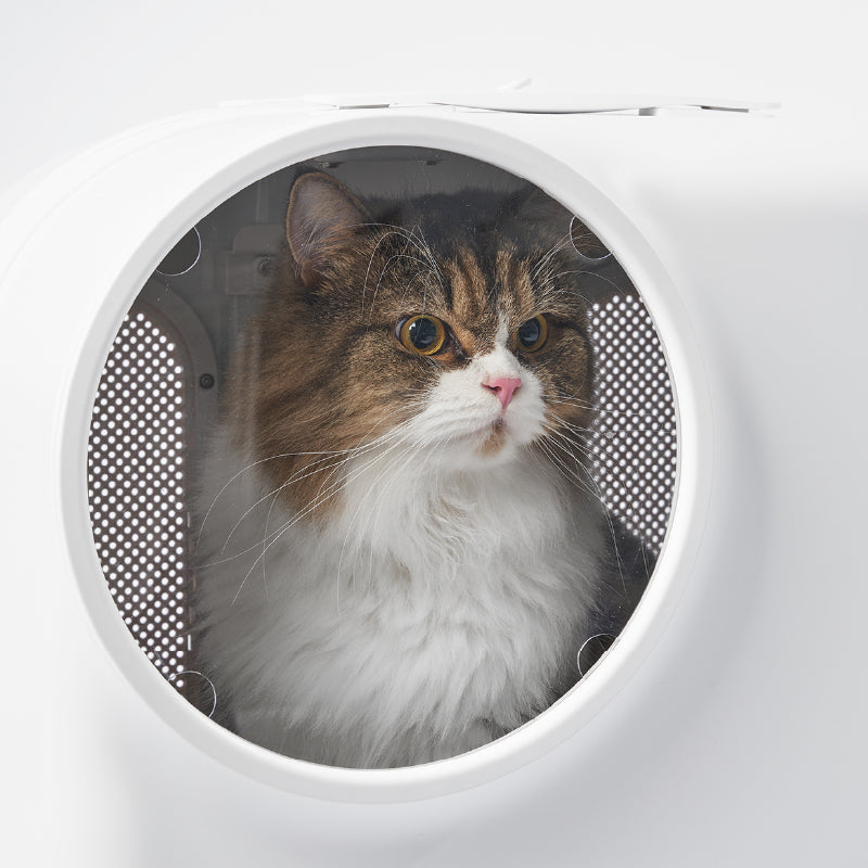 PIDAN Smart Pet Carrier with LED & Ventilation