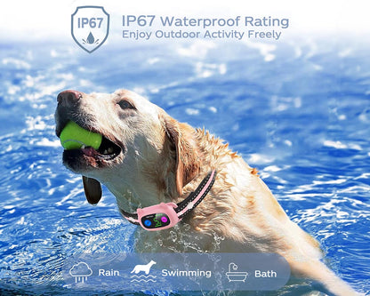 Smart No-Bark Dog Training Collar