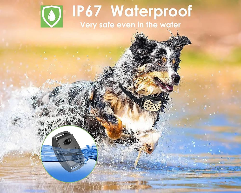 No-Bark Dog Training Collar