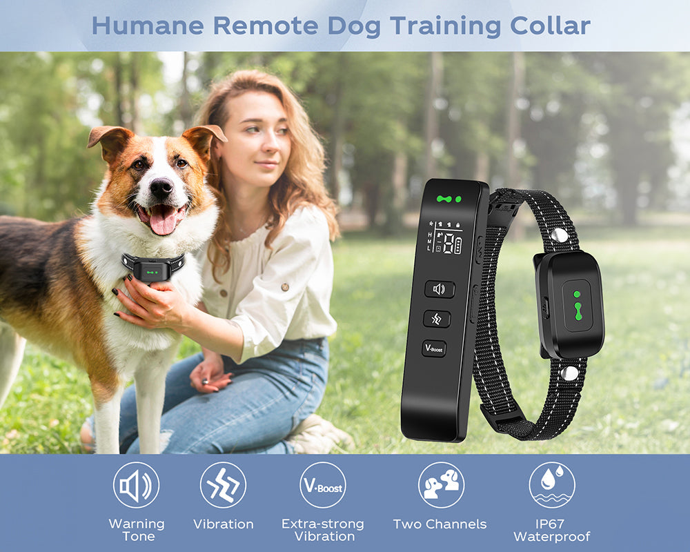 Vibrating Dog Collar No Shock