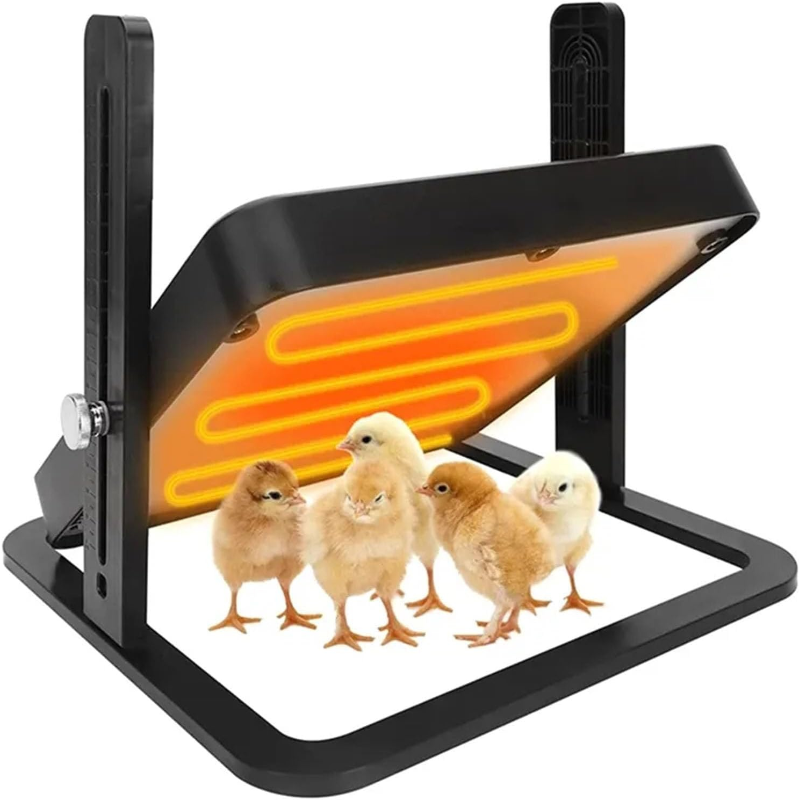 Chick Brooder Heating Plate Warmer Chicken Coop Heater