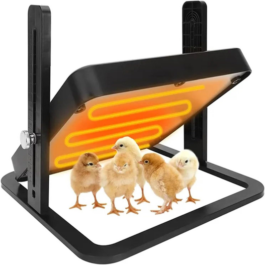 Chick Brooder Heating Plate Warmer Chicken Coop Heater