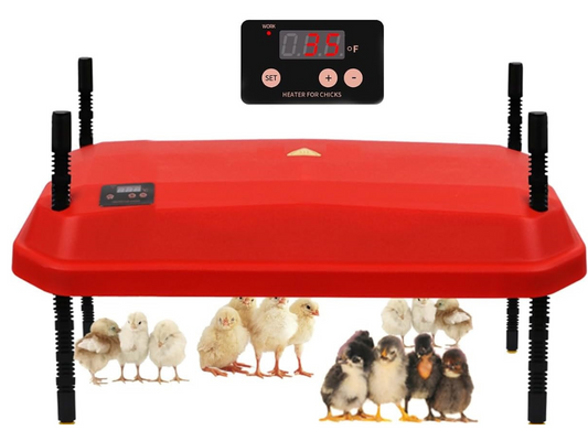 Chick Brooder Heating Plate Warmer,Chicken Coop Heater