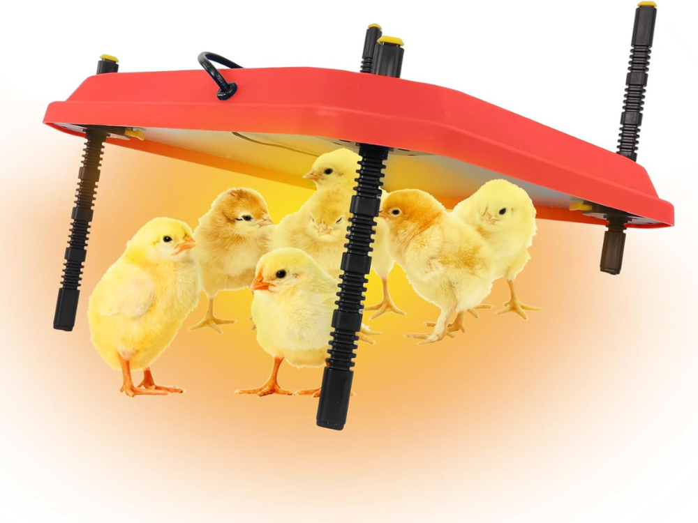 Chick Brooder Heating Plate Warmer,Chicken Coop Heater