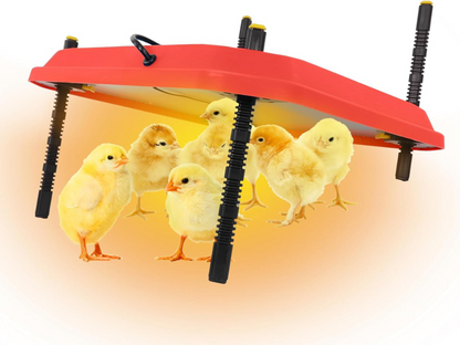 Chick Brooder Heating Plate Warmer,Chicken Coop Heater