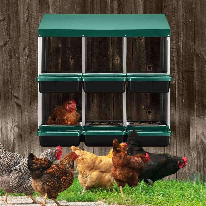 Nesting Box Chicken Hen Roll Away Laying Nest Boxes Chook Brooder 6 Compartment
