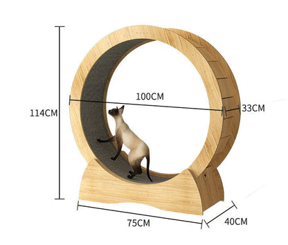 Cat Exercise Wheel Cat Scratcher Board