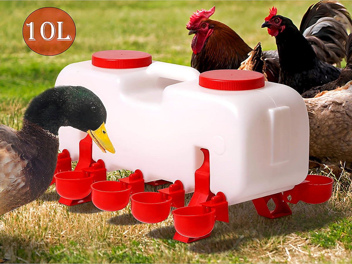 Chicken Water Feeder 10L