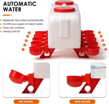 Chicken Water Feeder 10L
