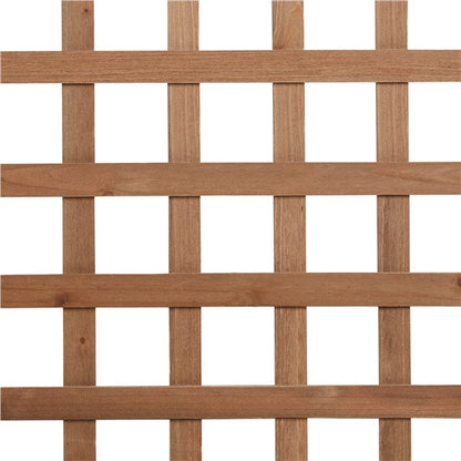 50" H Raised Garden Bed with Trellis planter Box for Vine Climbing Plant