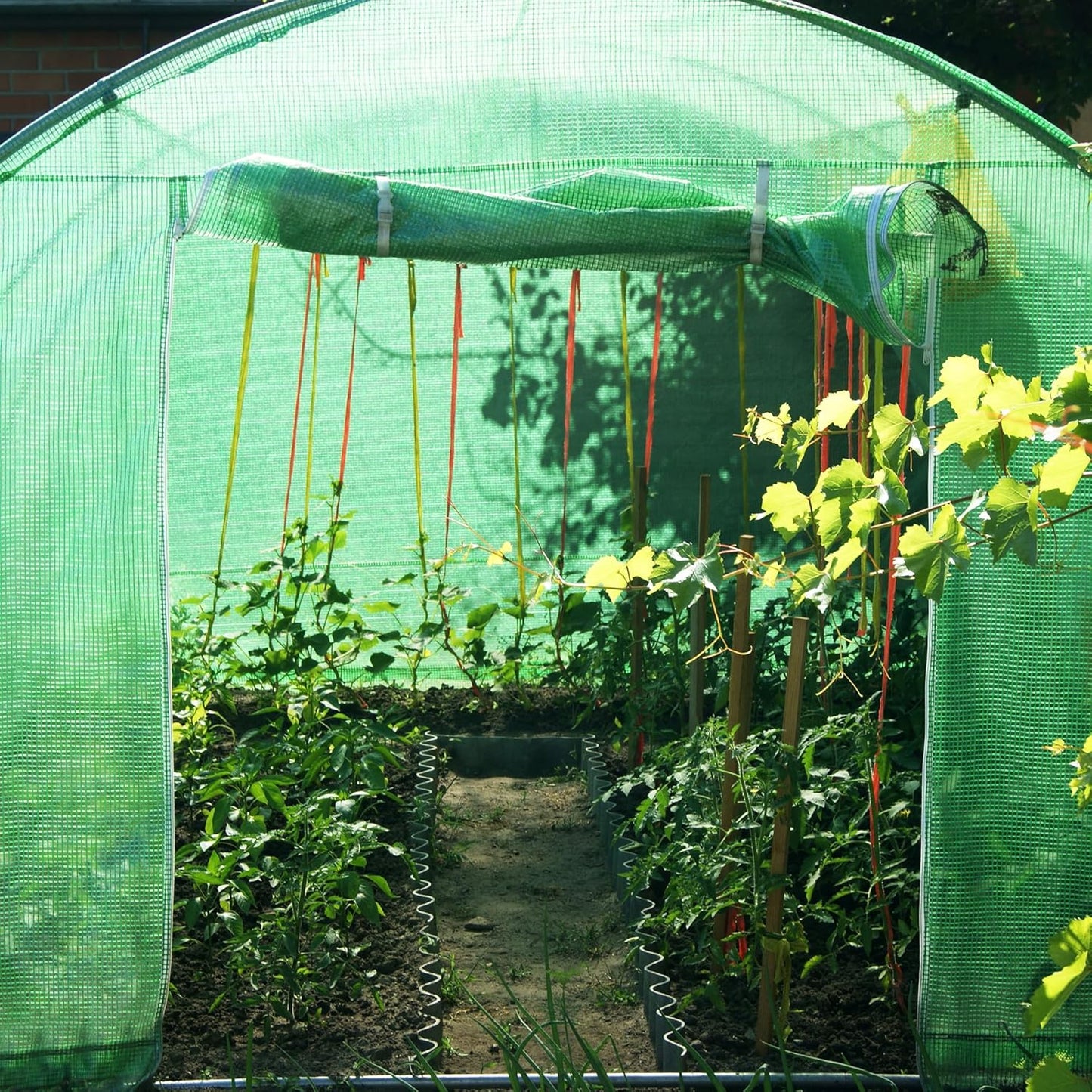 Greenhouse 3x2x2m