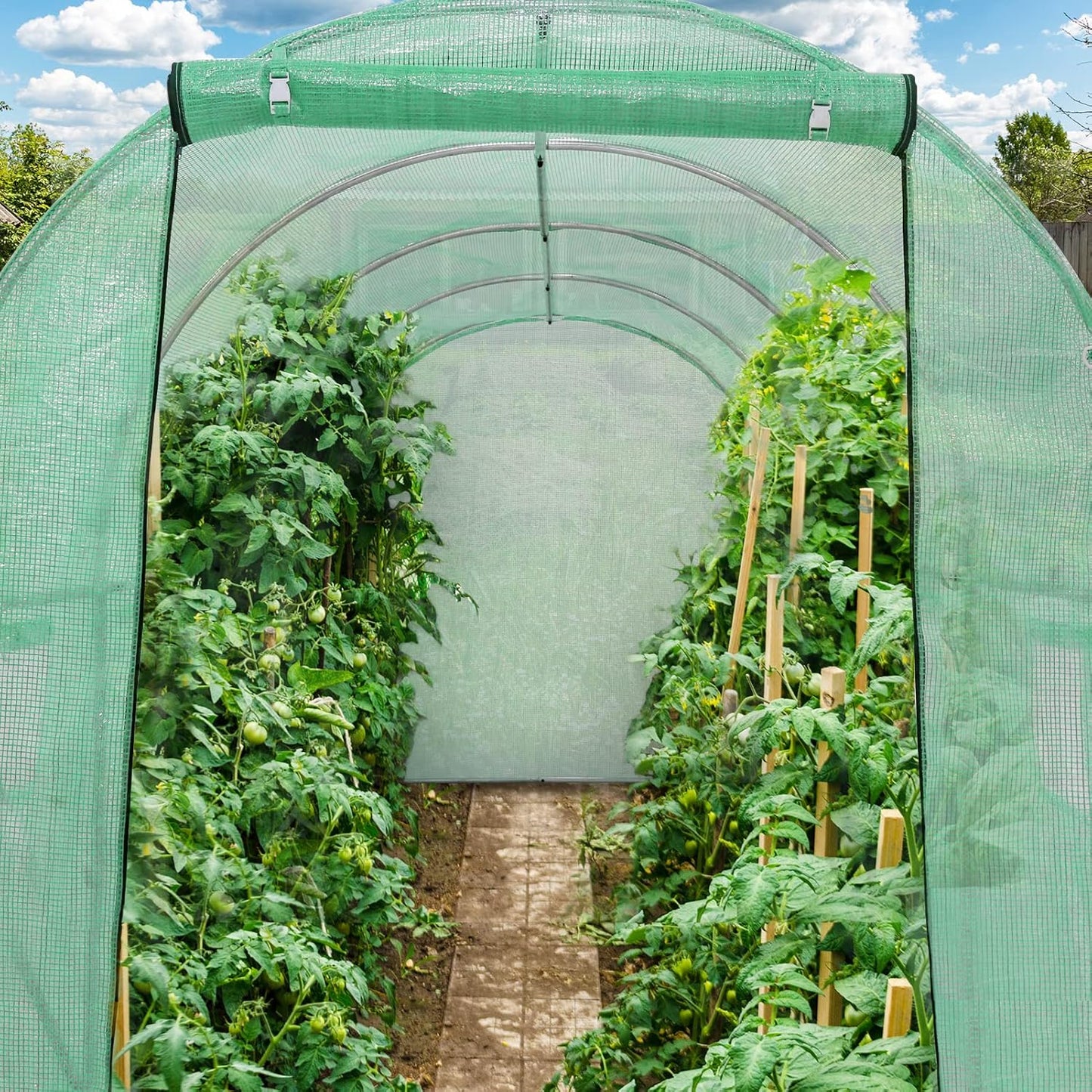 Greenhouse Tunnel Shed 4x2x2m