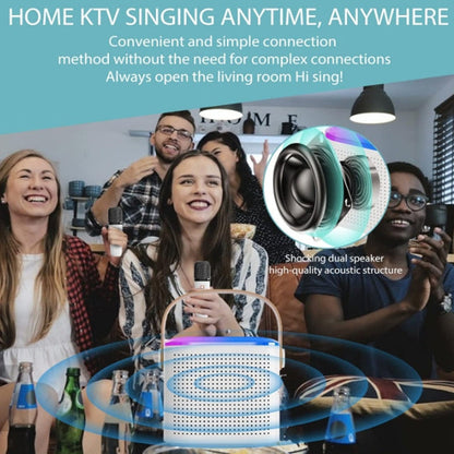 Portable Bluetooth Karaoke Speaker with Wireless handheled Microphones S