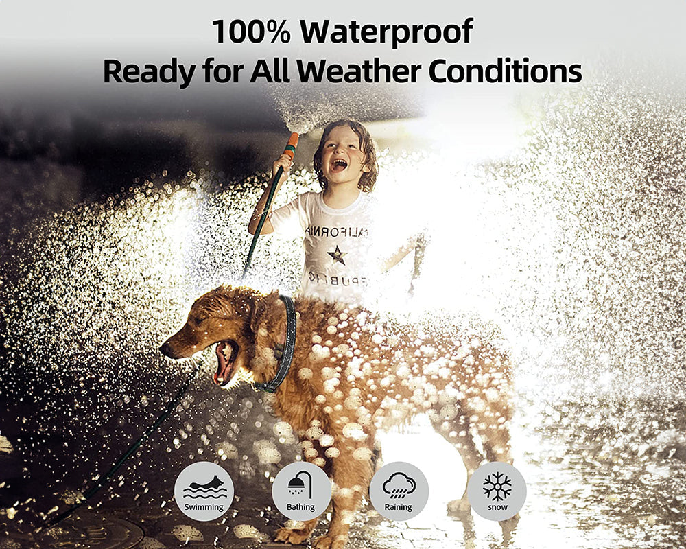 Rechargeable Smart Barking Collar