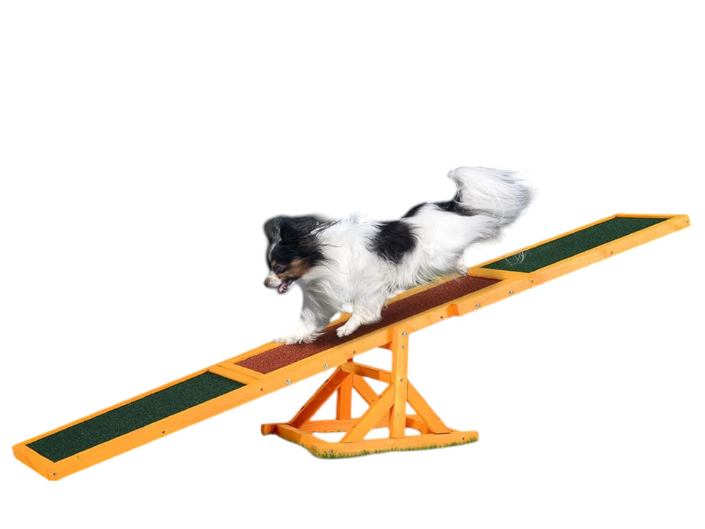 Dog Agility Equipment Seesaw