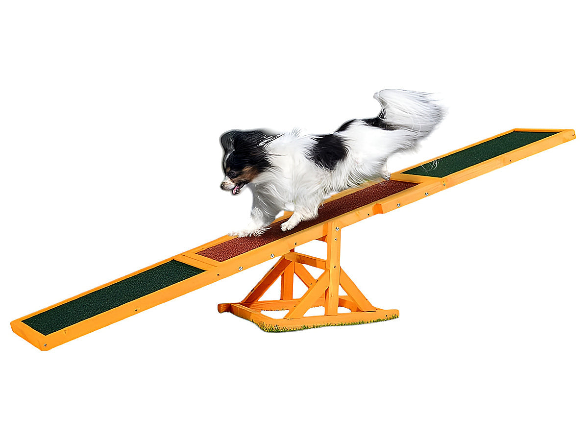 Dog Agility Equipment Seesaw
