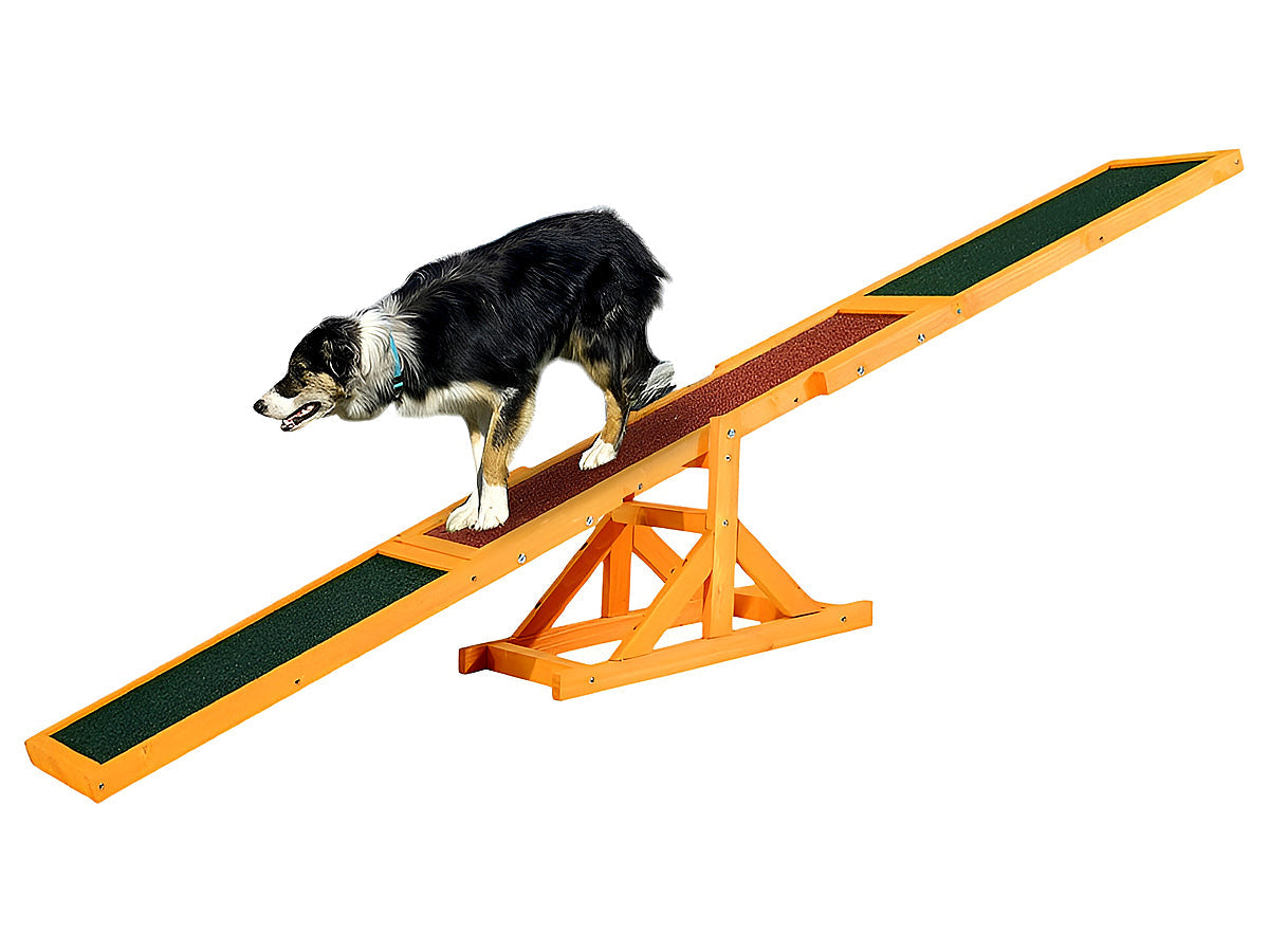 Dog Agility Equipment Seesaw
