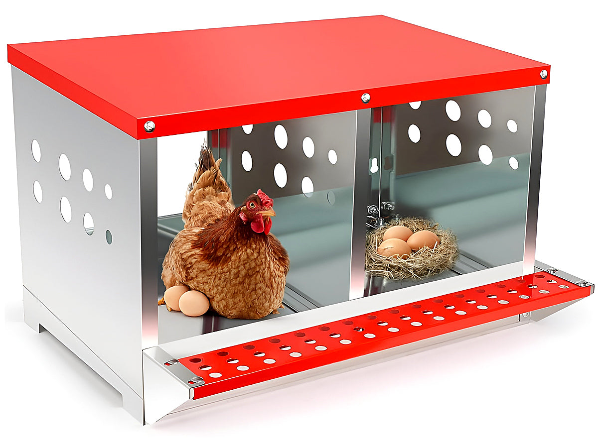 Chicken Nesting Box with 2 Nests