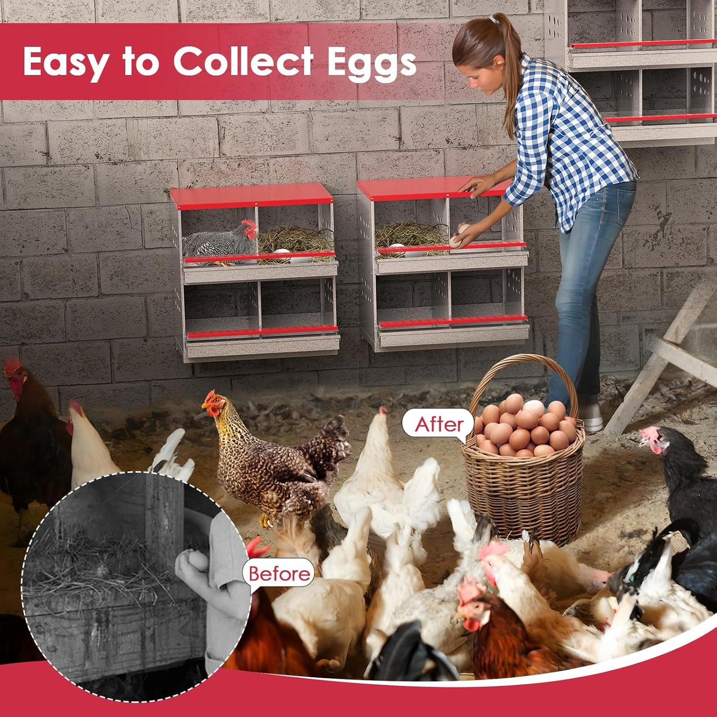 Chicken Nesting Box With 4 nests