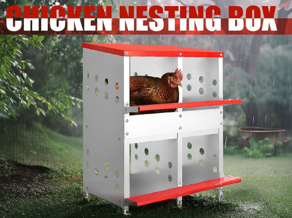 Chicken Nesting Box With 4 nests