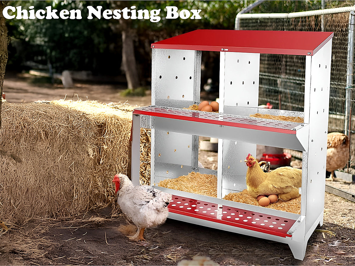 Chicken Nesting Box With 4 nests