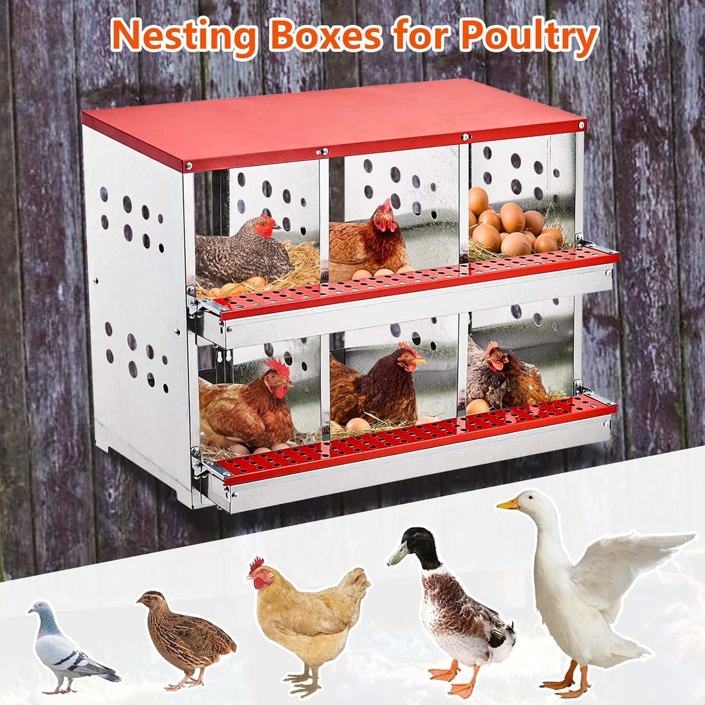 Nesting Box Chicken Hen Roll Away Laying Nest Boxes Chook Brooder 6 Compartment