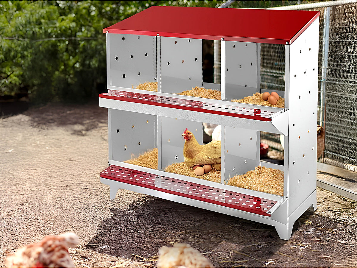 Nesting Box Chicken Hen Roll Away Laying Nest Boxes Chook Brooder 6 Compartment