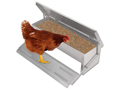 Automatic Chicken Feeder