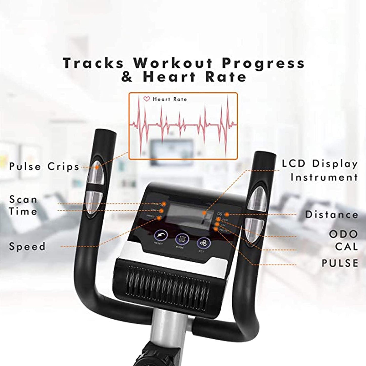 Exercise Bike for Home & Gym Spin Bike Bicycle