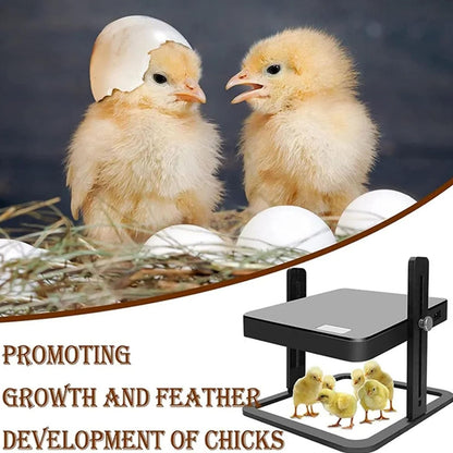 Chick Brooder Heating Plate Warmer Chicken Coop Heater