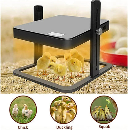 Chick Brooder Heating Plate Warmer Chicken Coop Heater