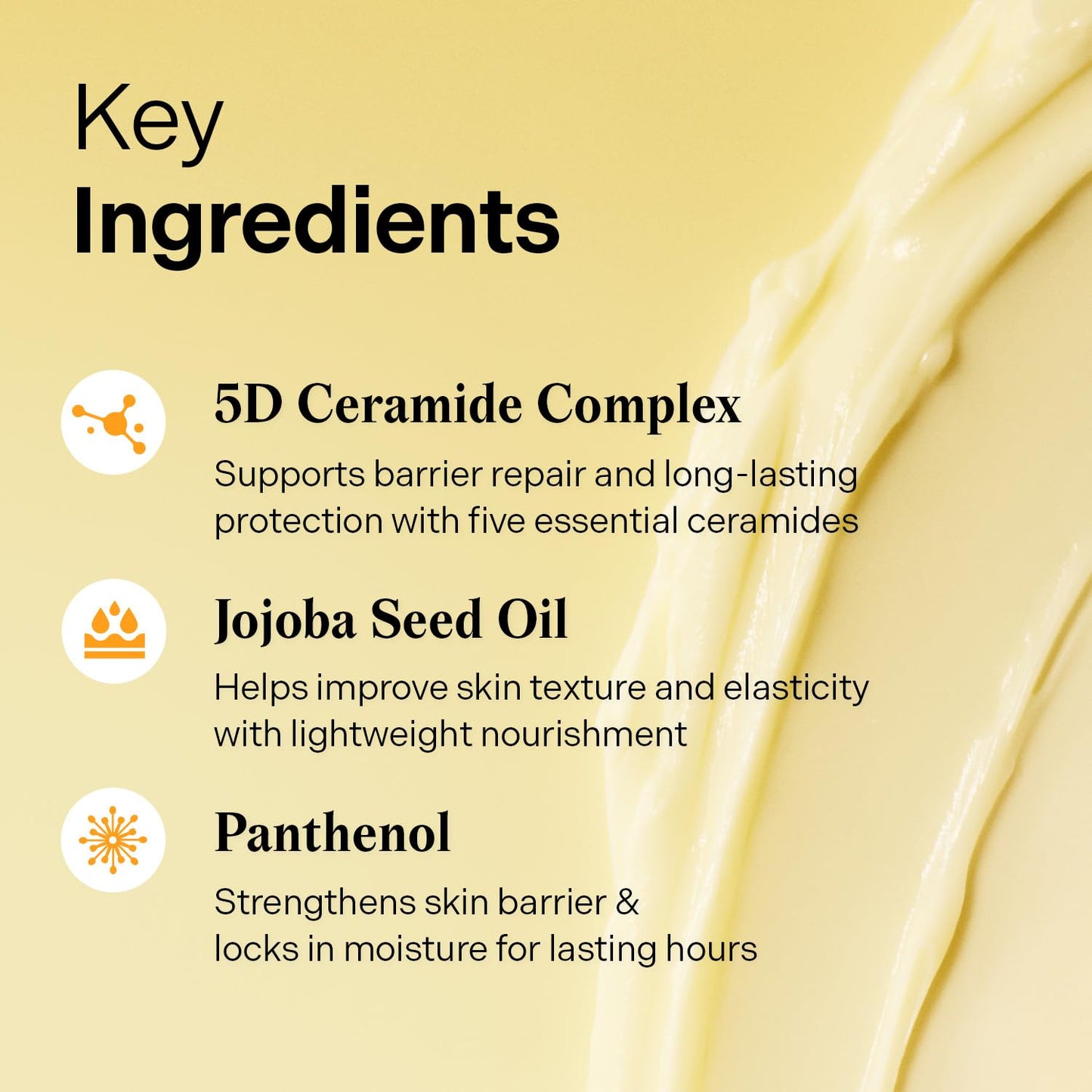 Torriden SOLID IN Ceramide Lip Essence Double Set