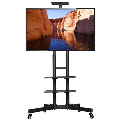 Mobile TV Stand