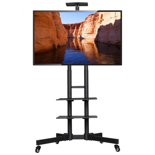 Mobile TV Stand