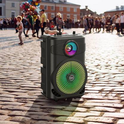 Hoco Bluetooth Portable Outdoor Speaker with Wired Microphone BS46