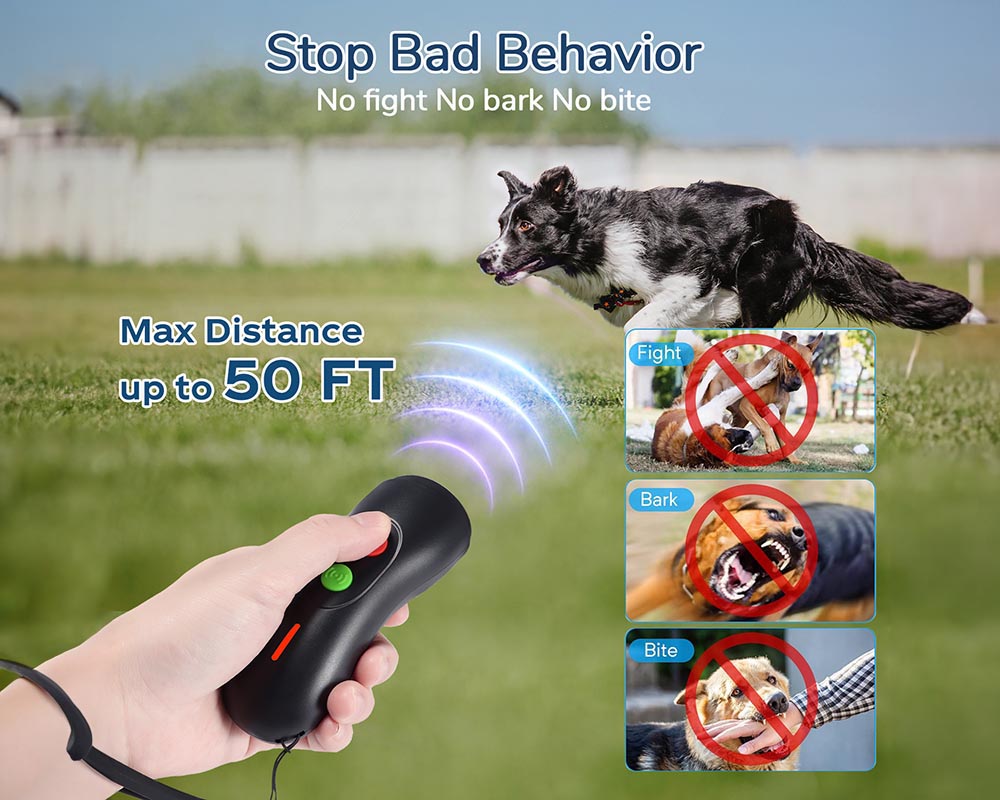 Lightweight dog training collar