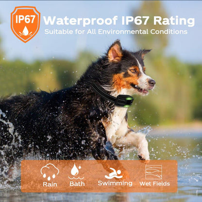 Dog Training Collar with LED Light