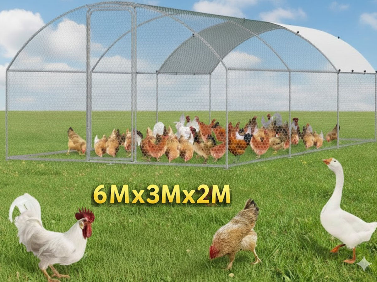 Chicken Coop Run 6M× 3M×2M
