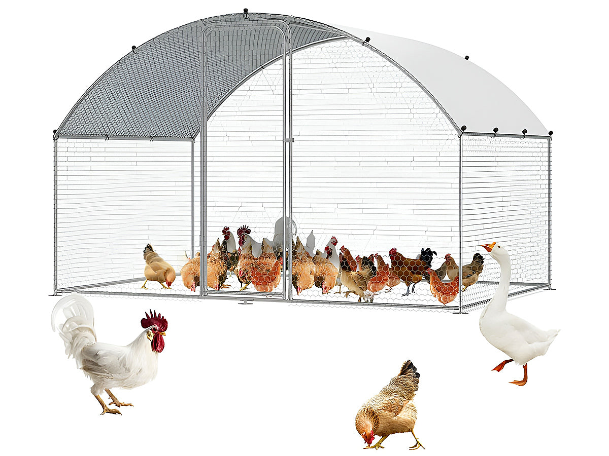Outdoor Chicken Coop 3M x 2M x 2M