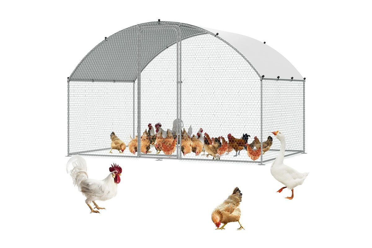 Outdoor Chicken Coop 3M x 2M x 2M